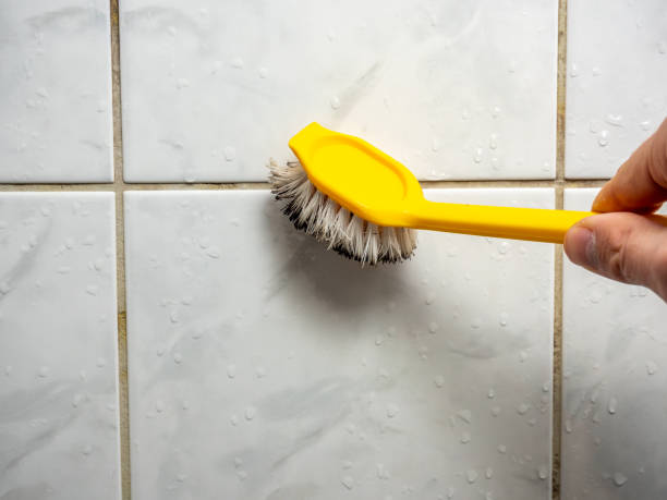 Best Certified Mold Removal  in Landover Hills, MD