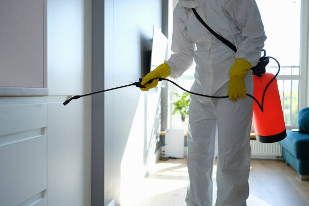 Best Mold Removal Company Near Me  in Landover Hills, MD