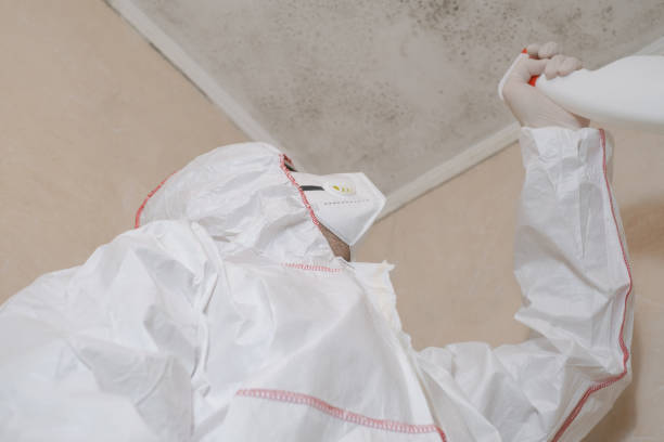Best Home Mold Removal  in Landover Hills, MD