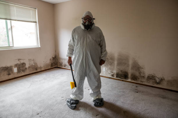 Best Local Mold Removal Service  in Landover Hills, MD