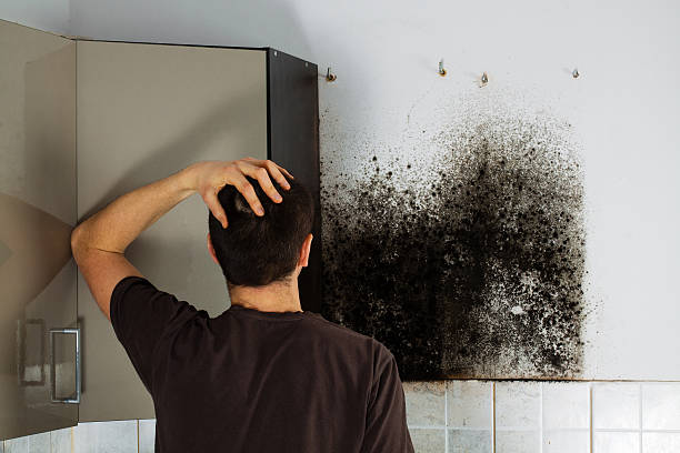 Mold Testing and Removal in Landover Hills, MD